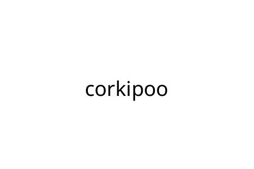 corkipoo