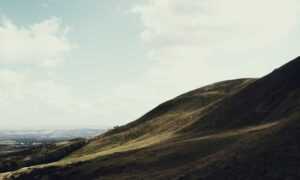 77496000027543598200120211436010925258