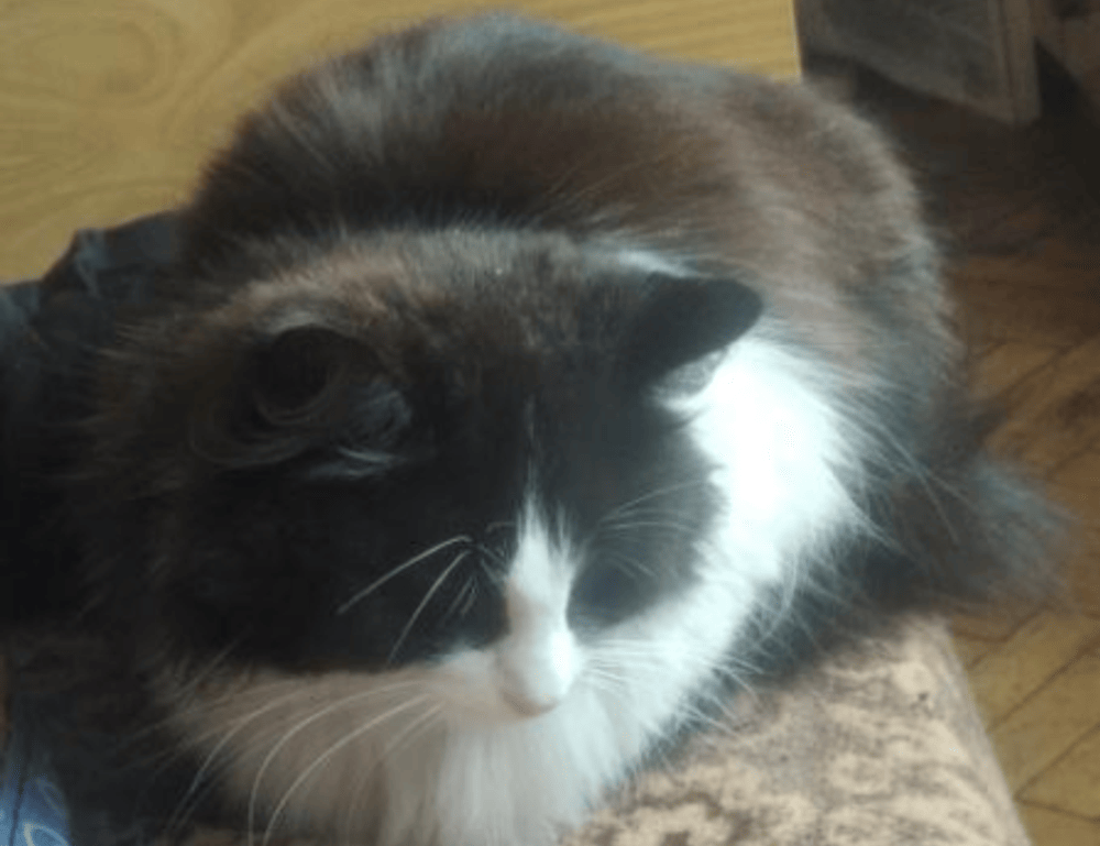 turalospecialistadelfrizzante