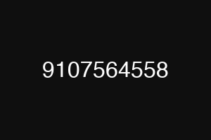 9107564558