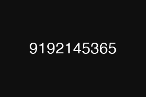 9192145365