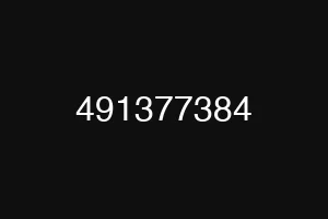 491377384