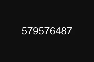 579576487