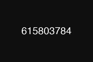 615803784