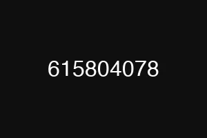 615804078