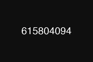615804094