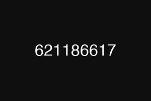 621186617