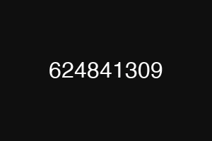 624841309