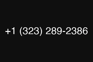 +1 (323) 289-2386
