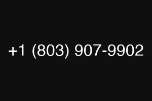 +1 (803) 907-9902