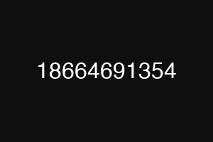 18664691354