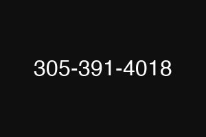 305-391-4018