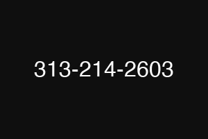 313-214-2603