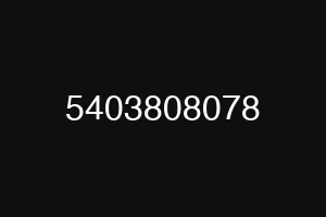 5403808078