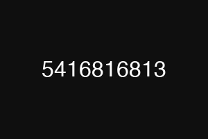 5416816813