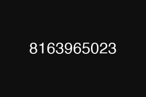 8163965023