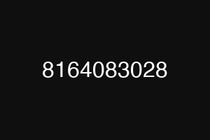 8164083028
