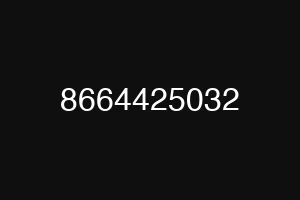 8664425032