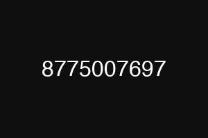 8775007697