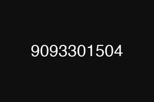 9093301504